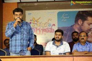 Kannullo Nee Roopame Audio Success Meet