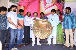 Naa Love Story Audio Release