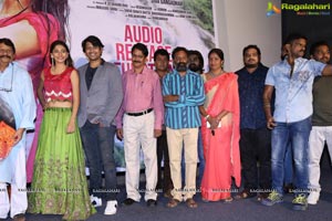 Naa Love Story Audio Release