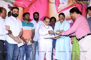 Naa Love Story Audio Release