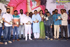 Naa Love Story Audio Release