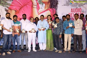 Naa Love Story Audio Release