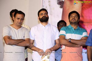 Naa Love Story Audio Release