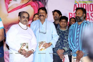 Naa Love Story Audio Release