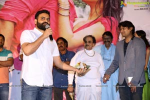 Naa Love Story Audio Release