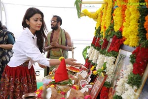 Shriya Saran-Sujana