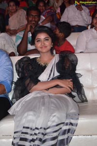 Tej Audio Success Meet