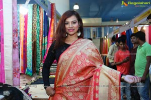 Silk Dezire of India Expo