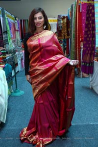 Silk Dezire of India Expo