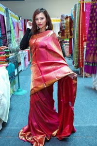 Silk Dezire of India Expo