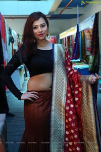 Silk Dezire of India Expo