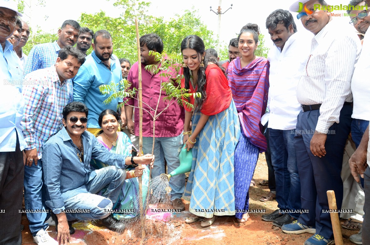 Rajasekhar Family participates in Haritha Haram at Medchal, Hyderabad