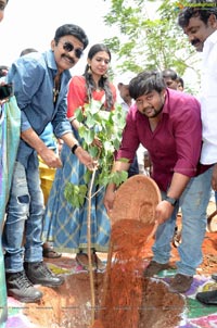 Shivani Rajasekhar Haritha Haram