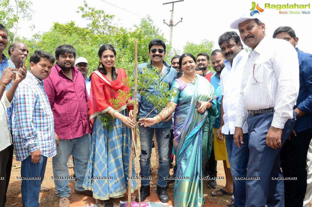 Rajasekhar Family participates in Haritha Haram at Medchal, Hyderabad