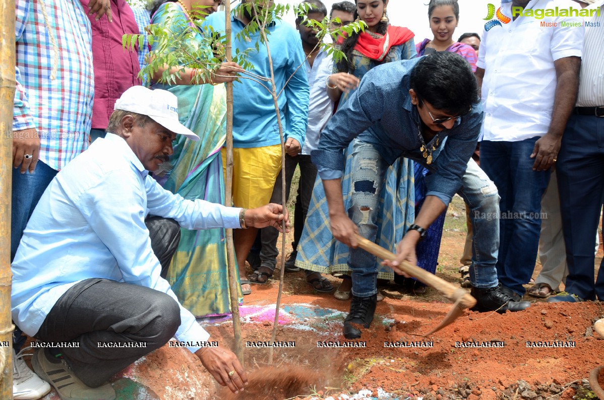 Rajasekhar Family participates in Haritha Haram at Medchal, Hyderabad