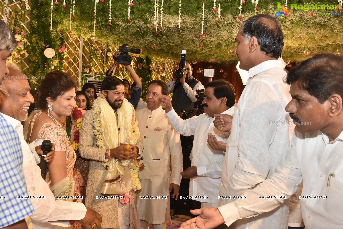 T Subbarami Reddy Grandson Anirudh Wedding Ceremony