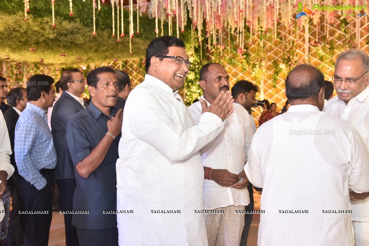 T Subbarami Reddy Grandson Anirudh Wedding Ceremony