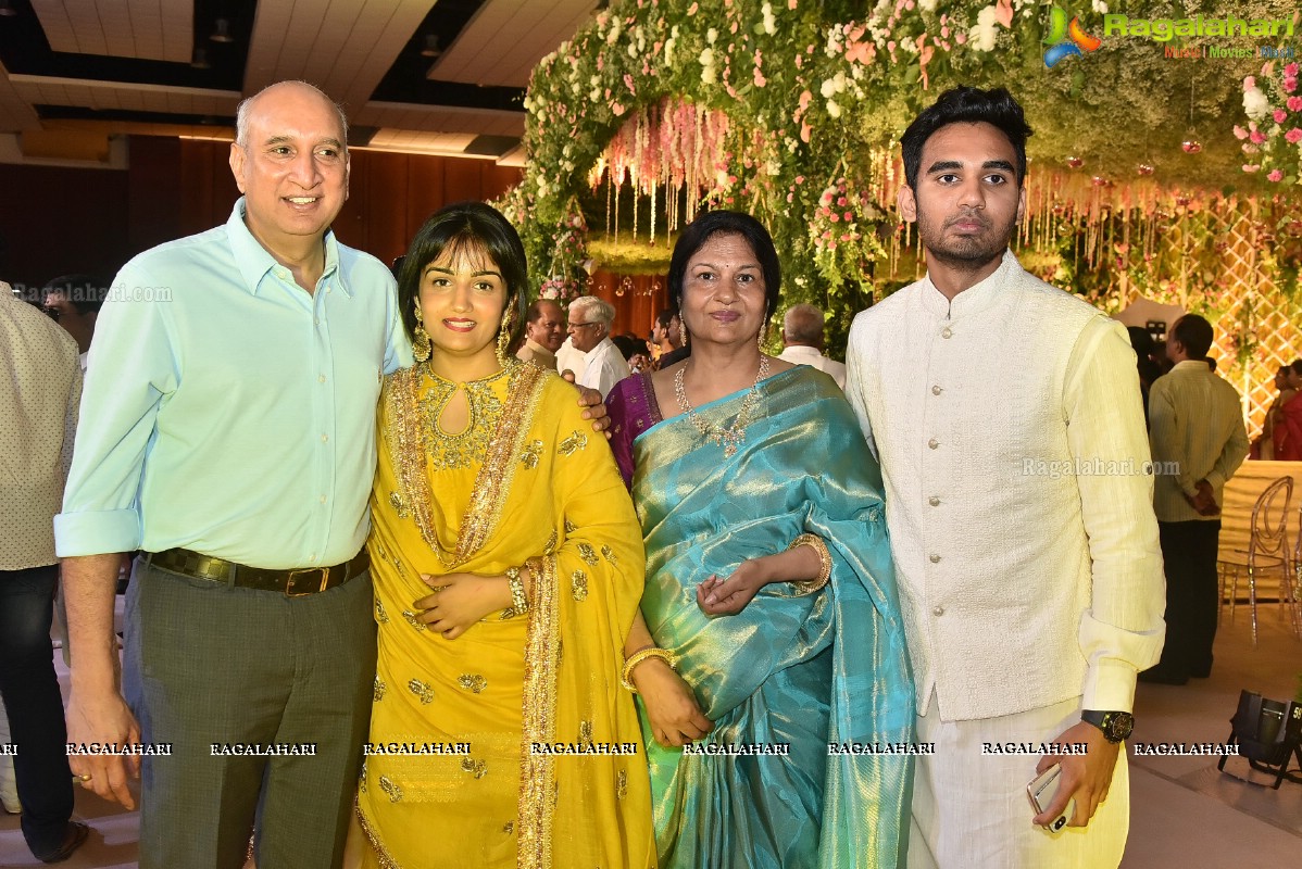 T Subbarami Reddy Grandson Anirudh Wedding Ceremony