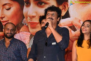 Falaknuma Das Movie Success Meet