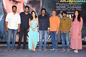 Ninu Veedani Needanu Nene Press Meet