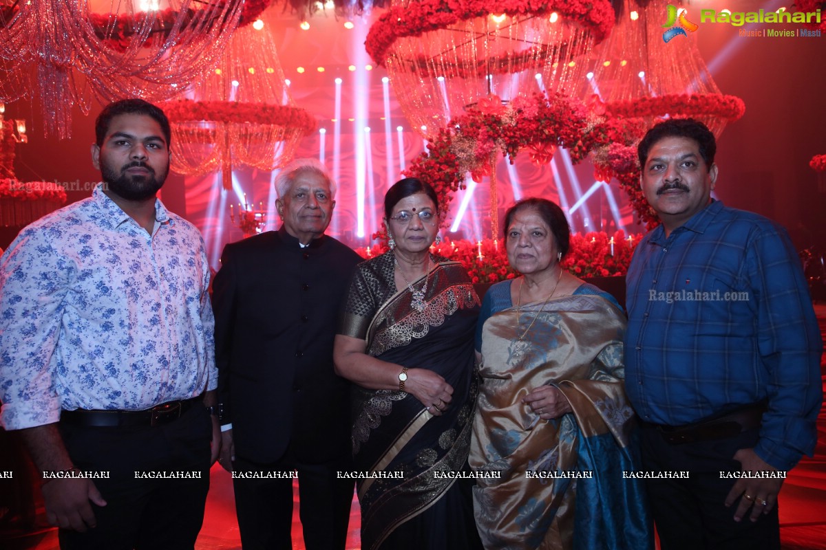 Ashu Gauri & Vicky Gauri Silver Wedding Anniversary at Anvaya Convention