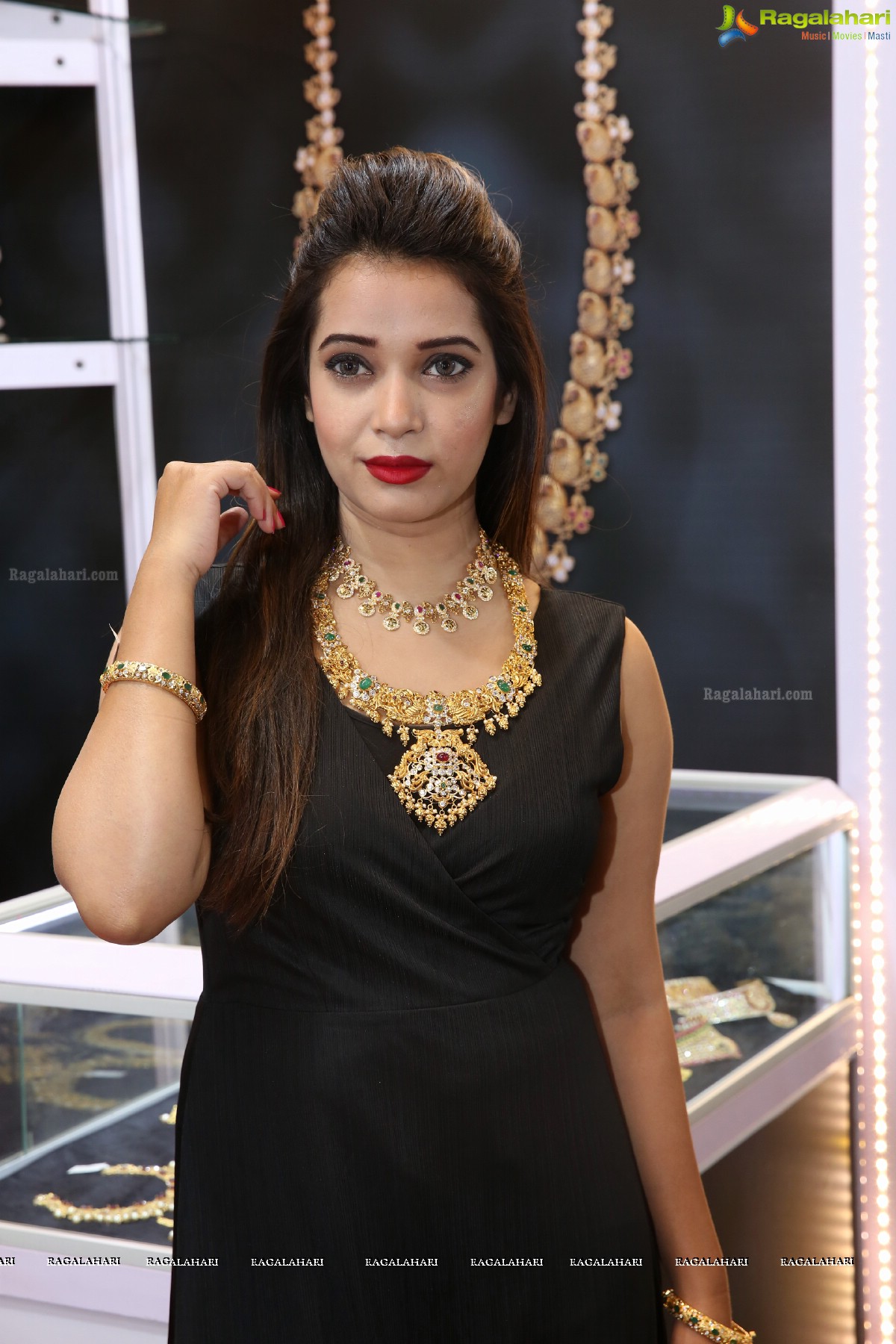 Hyderabad Jewellery, Pearl and Gem Fair 12th Edition at HICC Novotel