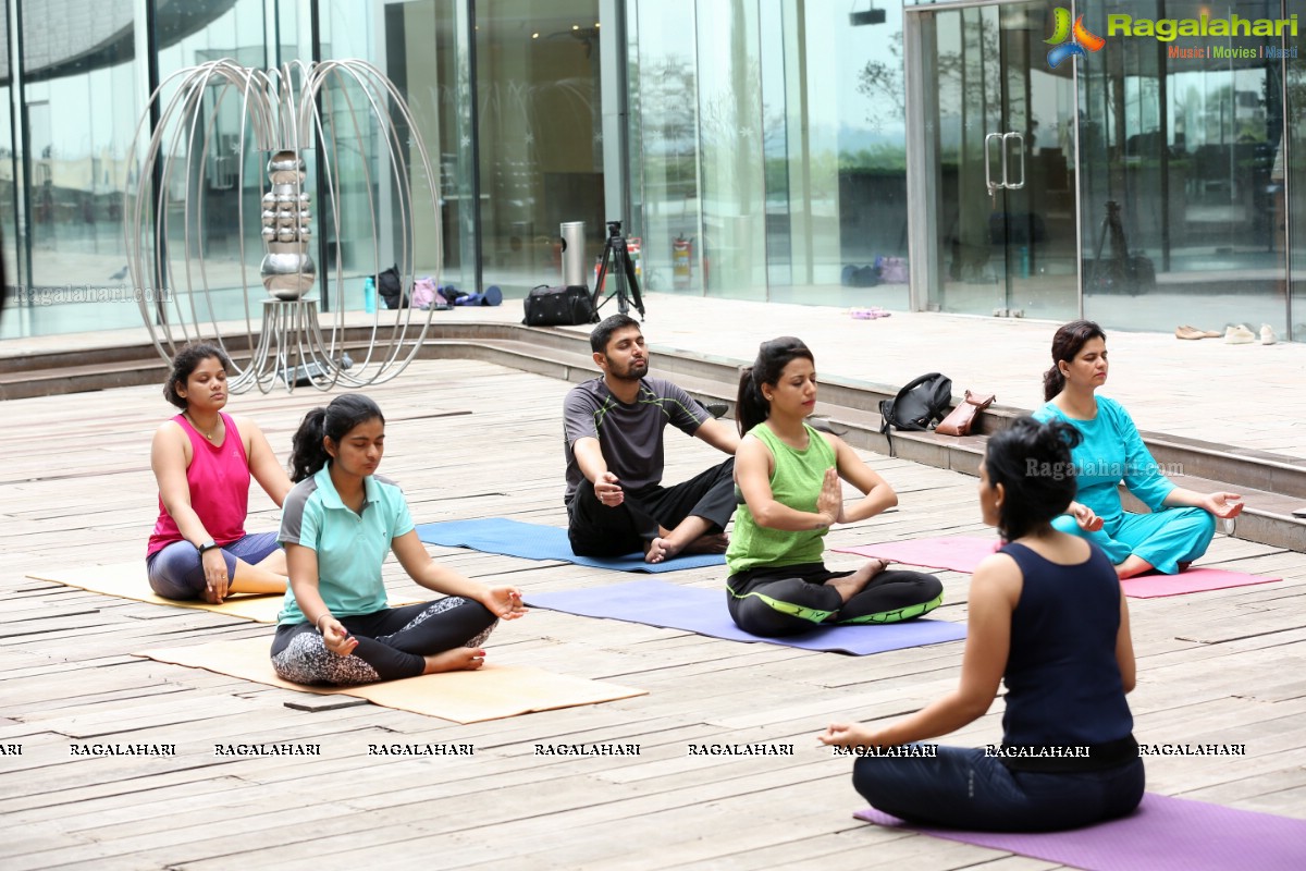 International Yoga Day 2019 at The Park, Hyderabad