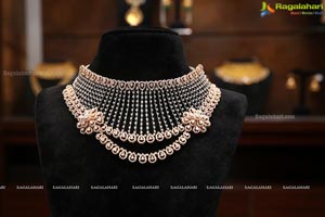 Malabar Gold & Diamonds Branded Jewellery Show Artistry