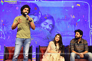 Sundar's Celebration Ante Sundaraniki Success Meet