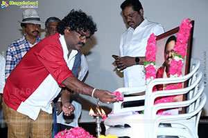 Dochevaarevarura Song Launch