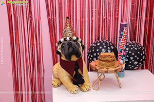 Floof & Co Pet store Launch photos