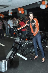 Harley-Davidson New Model Bikes Launch