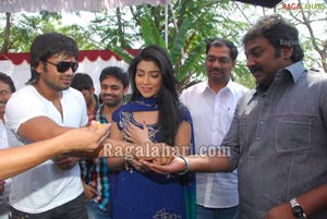 Manoj-Shriya Film Muhurat