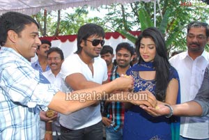 Manoj-Shriya Film Muhurat