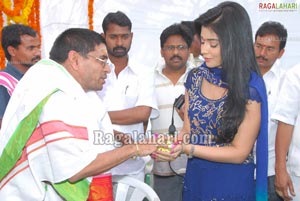 Manoj-Shriya Film Muhurat