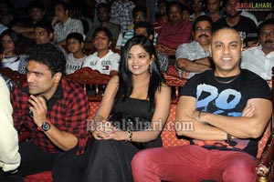 Mr. Perfect Audio Release