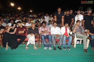 Mr. Perfect Audio Release