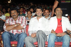 Mr. Perfect Audio Release