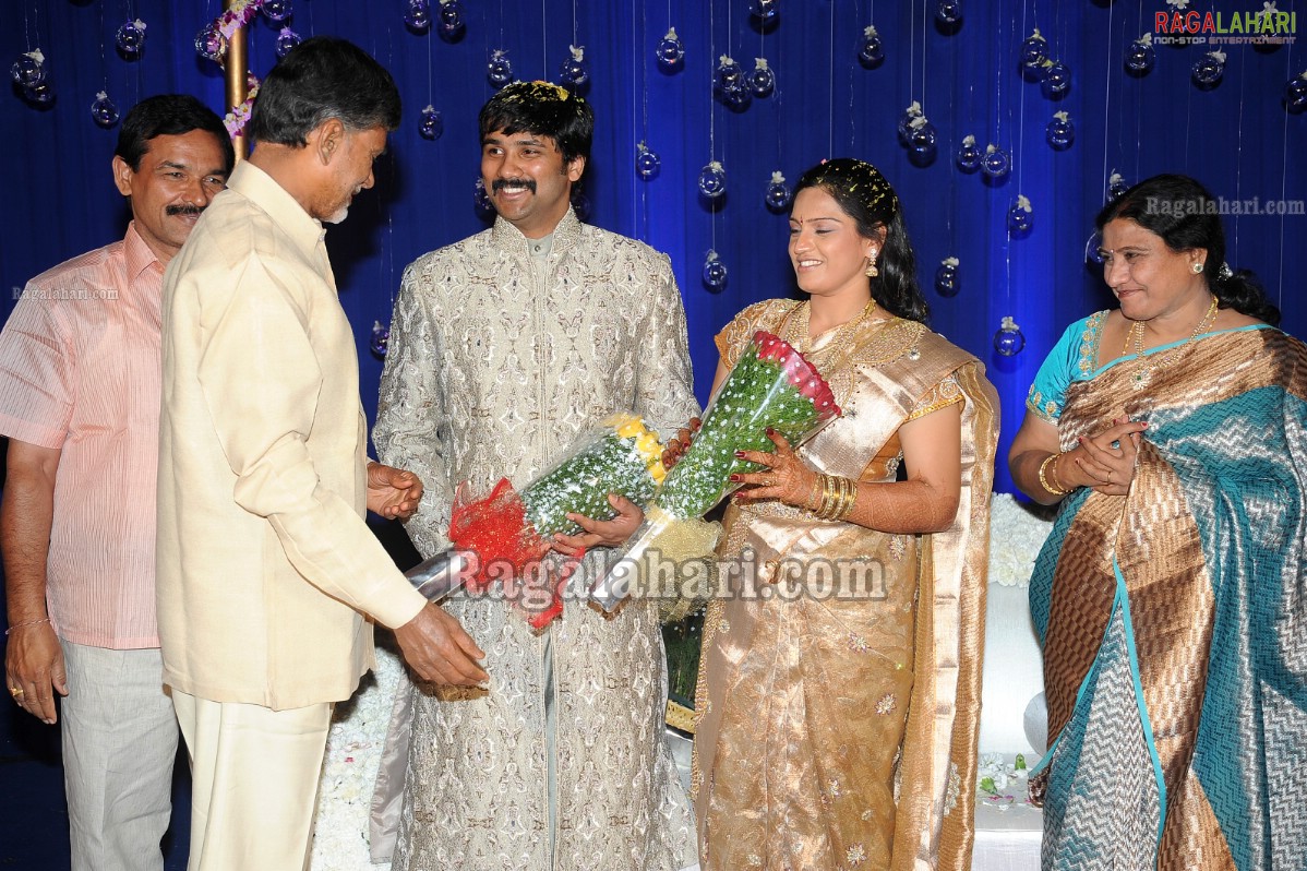 Ashok Kumar's Son Pradeep Chowdary-Divya's Wedding Reception