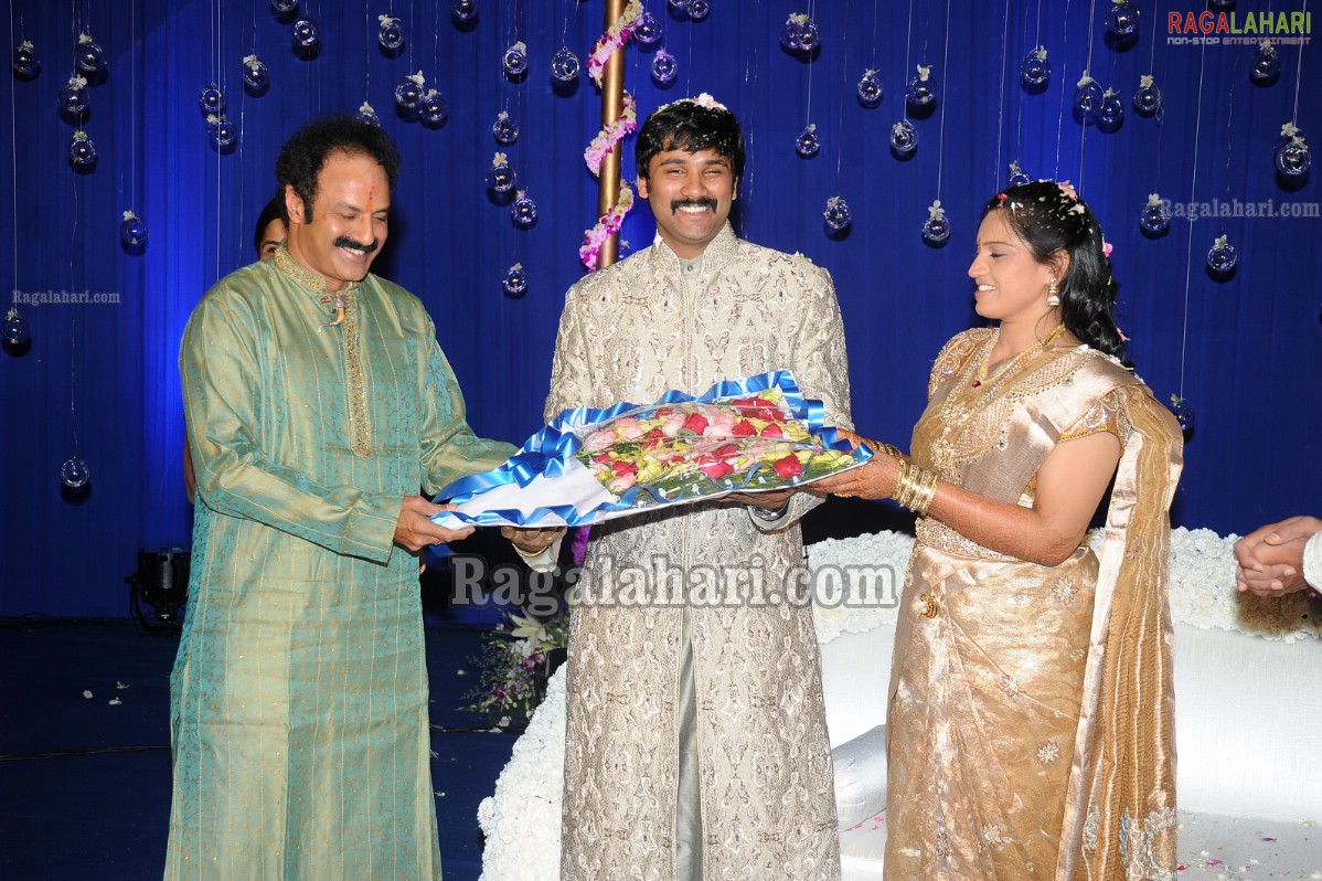 Ashok Kumar's Son Pradeep Chowdary-Divya's Wedding Reception