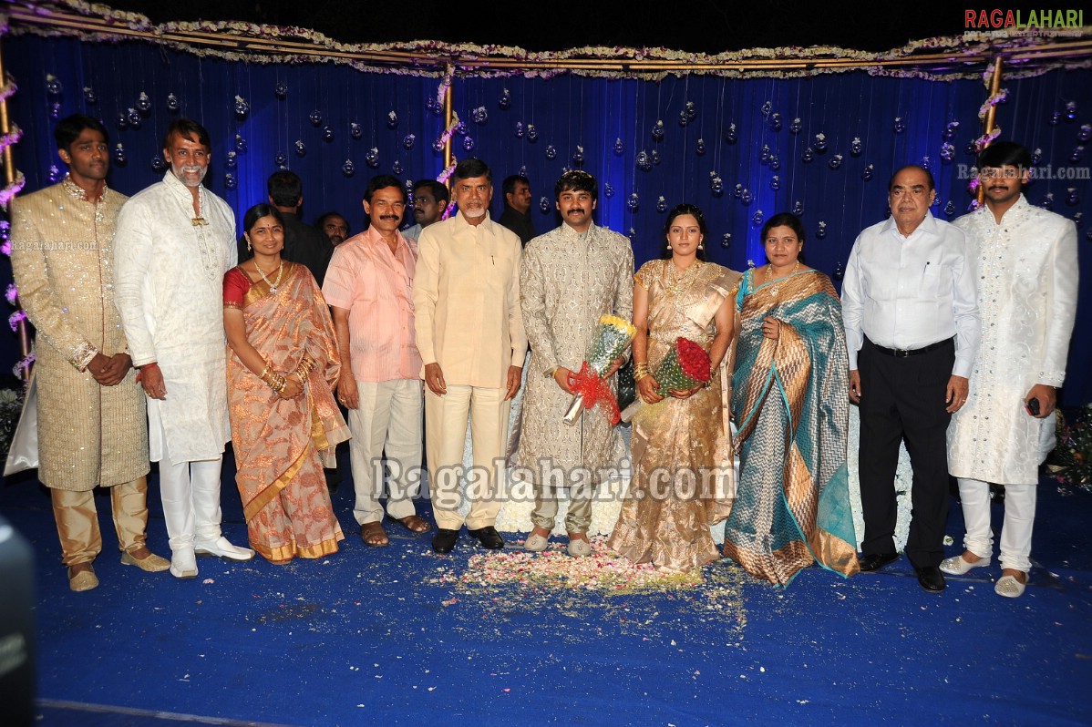 Ashok Kumar's Son Pradeep Chowdary-Divya's Wedding Reception