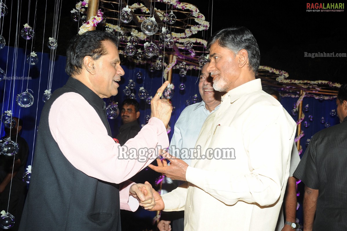 Ashok Kumar's Son Pradeep Chowdary-Divya's Wedding Reception