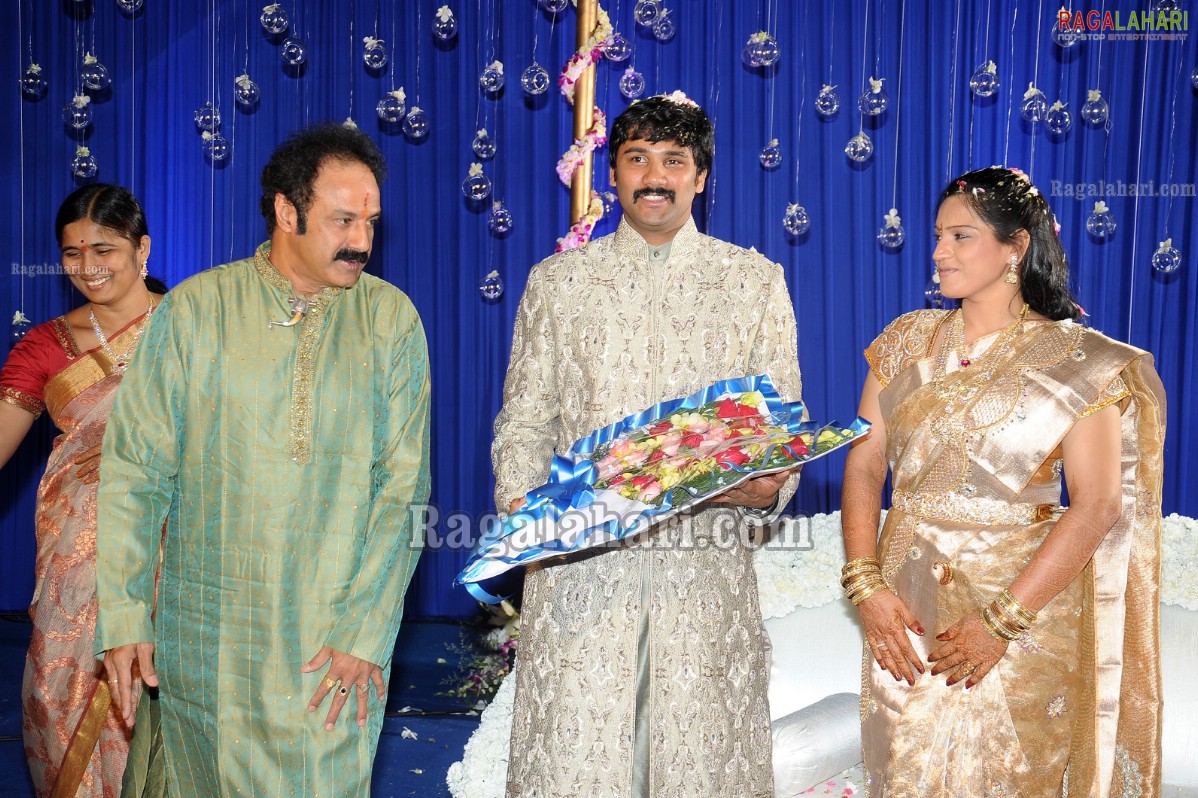 Ashok Kumar's Son Pradeep Chowdary-Divya's Wedding Reception