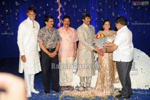 Ashok Kumar Son Pradeep Chowdary-Divya Wedding Reception