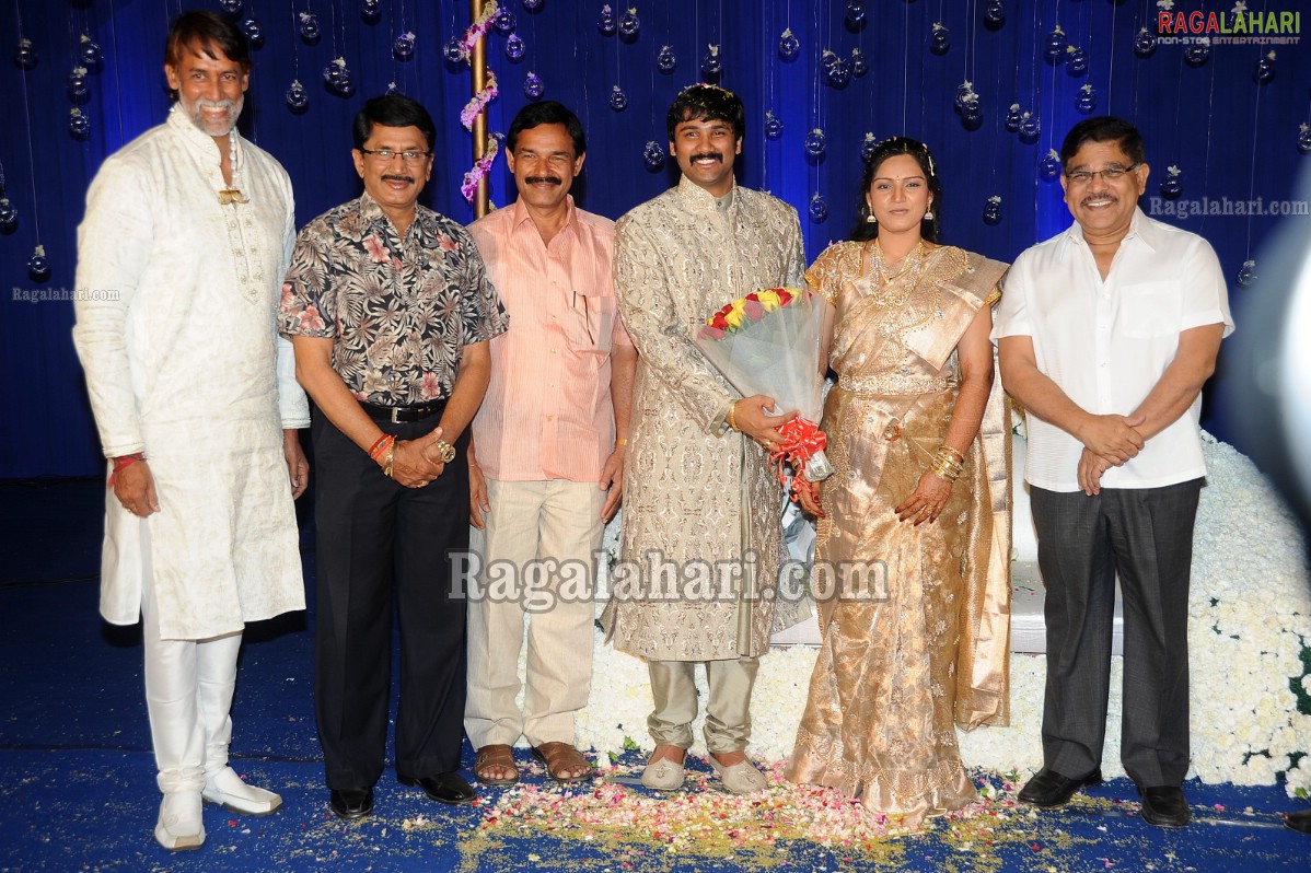 Ashok Kumar's Son Pradeep Chowdary-Divya's Wedding Reception