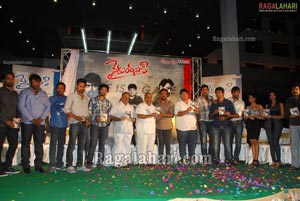 Vykuntapali Audio Release