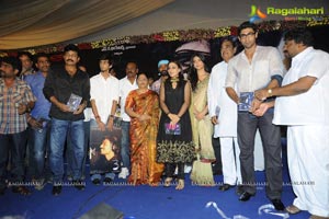 3 Audio Release