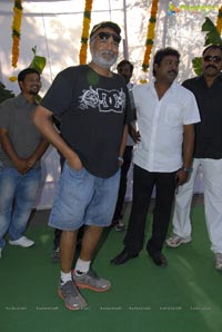 Baadshah Muhurat