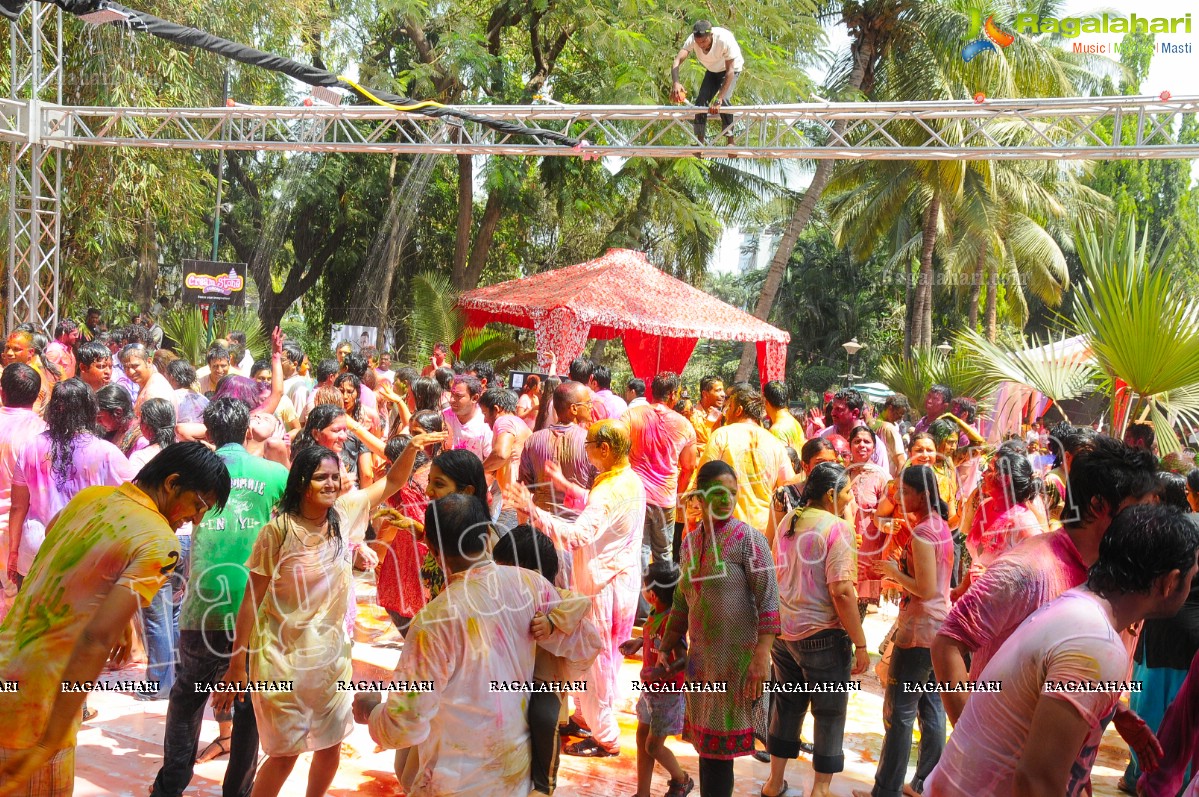 Big Fat Holi Bash 2012 at Taj Banjara