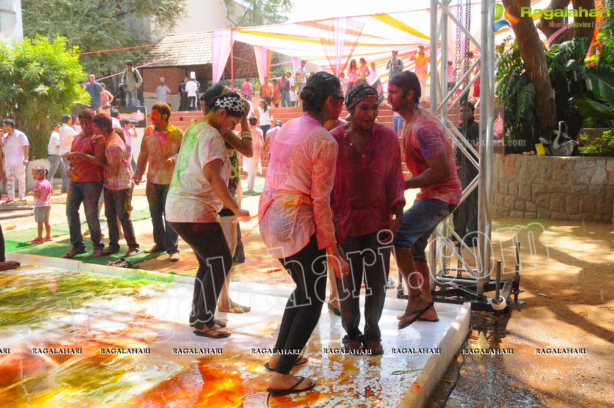 Big Fat Holi Bash 2012 at Taj Banjara